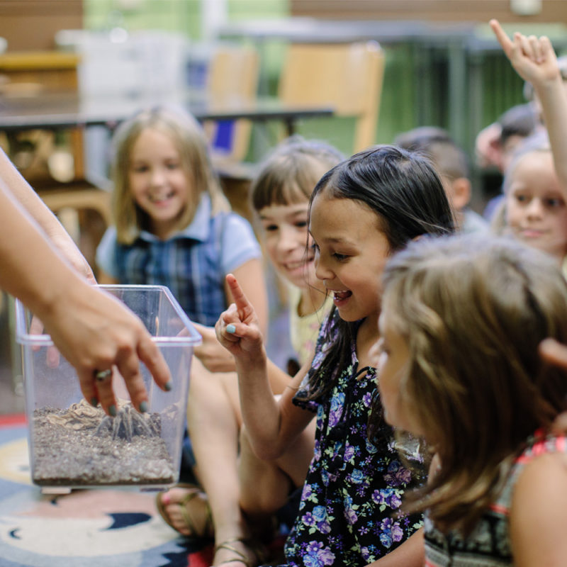 science museum field trips