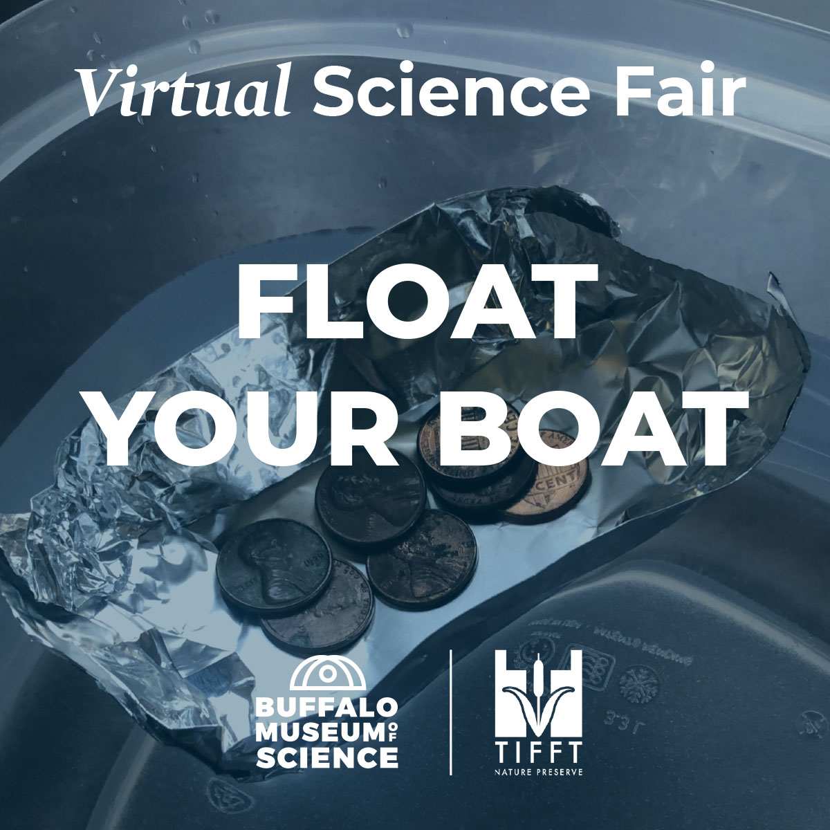 Easy Tin Foil Boat Money Float or Sink Experiment - HOAWG