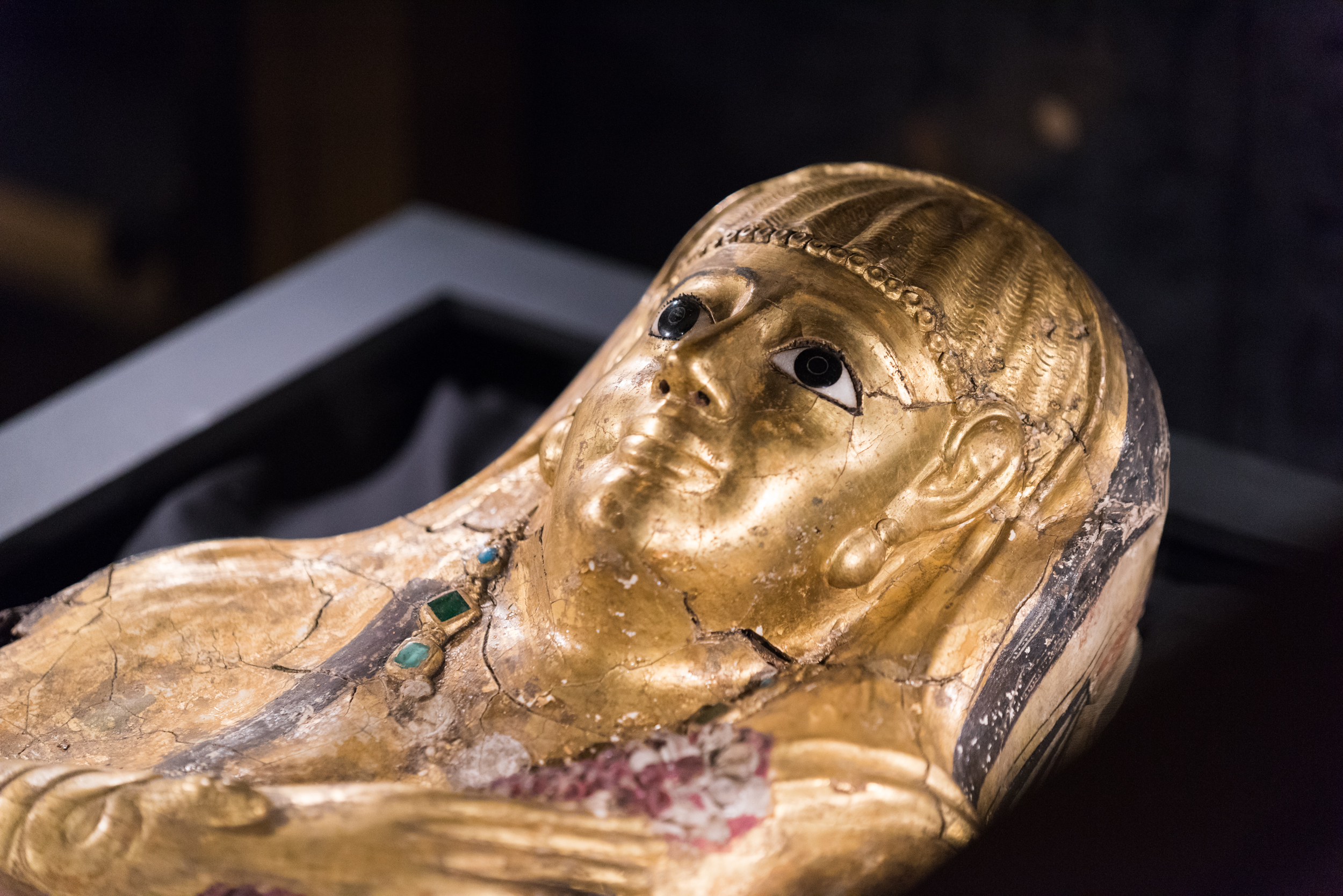 Golden Mummies Of Egypt Buffalo Museum Of Science