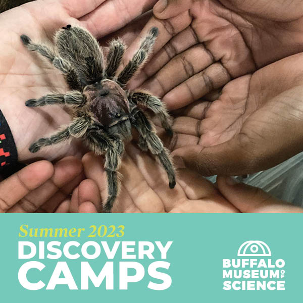 Discovery Camps - Buffalo Museum of Science